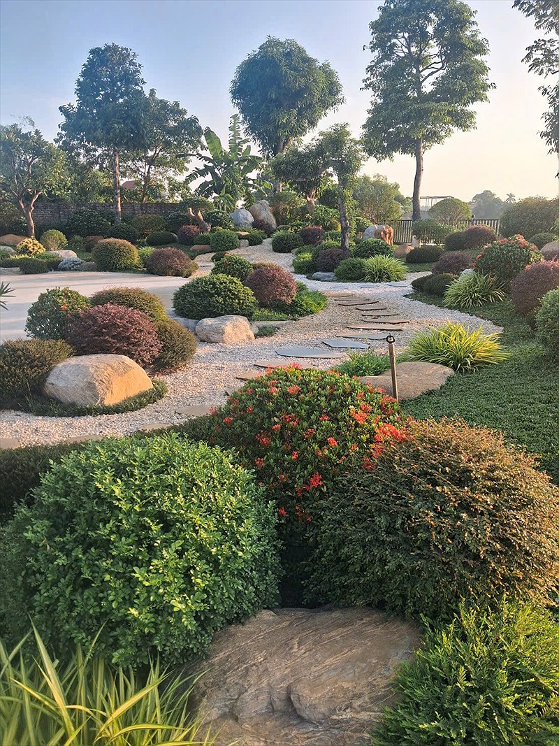 Cây tạo tán tròn và hoa viền